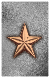 DNSHERT C 430 BZ SL Star Bronze Silver